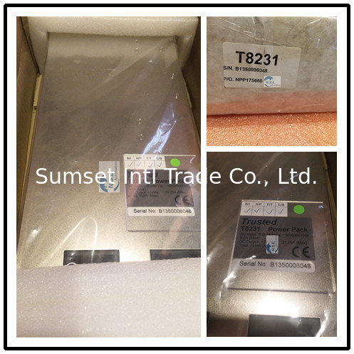 ICS Triplex T8311 TrustedTM Interfejs ekspandera TMR Rockwell T8311