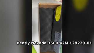 128229-01 Monitor sejsmiczny Bently Nevada 3500 42M